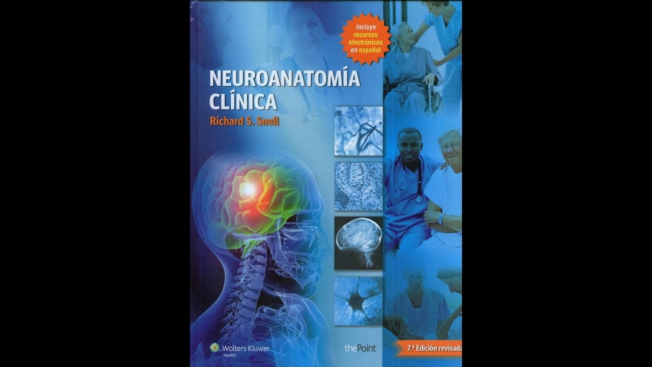 Richard snell neuroanatomia clinica 7ma edicion pdf